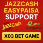 X03 Bet Game
